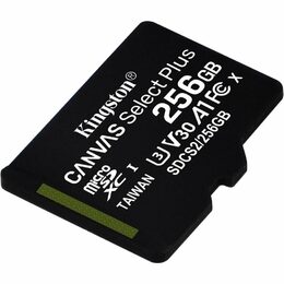 Kingston microSDXC 256GB SDCS2/256GBSP
