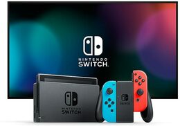 Nintendo Switch console Gray Joy-Con