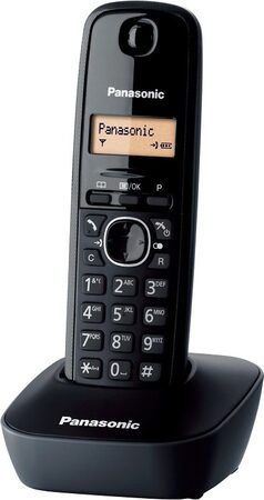 Domácí telefon Panasonic KX-TG1612FXH - šedý