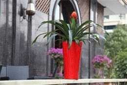 Samozavlažovací květináč G21 Trio mini červený 26 cm