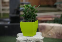 Samozavlažovací květináč G21 Cube mini zelený 13.5 cm