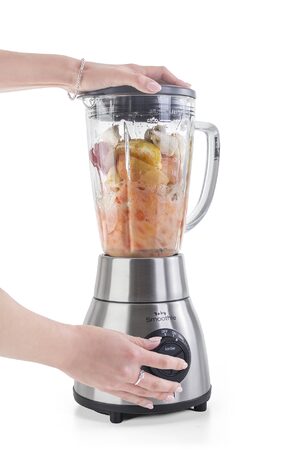 Blender G21 Baby smoothie, Stainless Steel