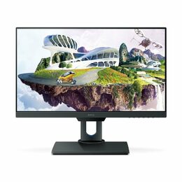 Monitor BenQ PD2500Q 25'',LED, IPS, 4ms, 1000:1, 350cd/m2, 2560 x 1440,DP,