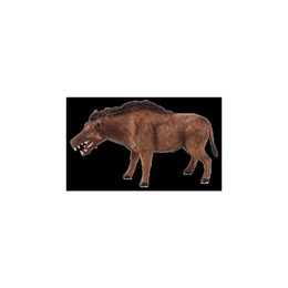 Mojo Entelodont Daeodon