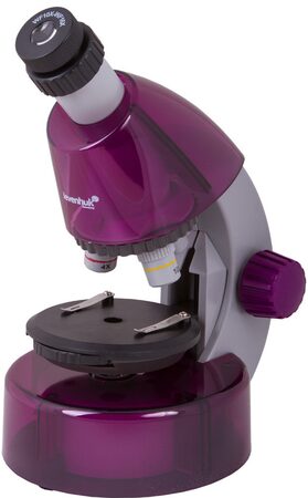 Mikroskop Levenhuk LabZZ M101 Amethyst (69083)