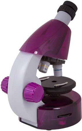 Mikroskop Levenhuk LabZZ M101 Amethyst (69083)