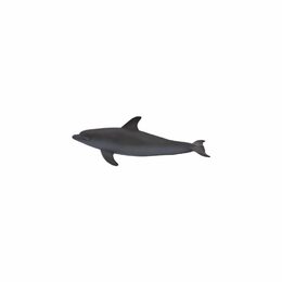 Mojo Delfín skákavý