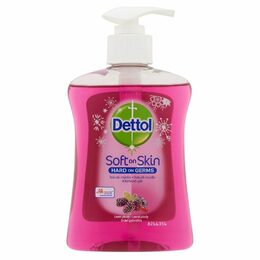 NÁPLŇ DÁVK.MÝDL LESNÍ OVOCE 250ML DETTOL