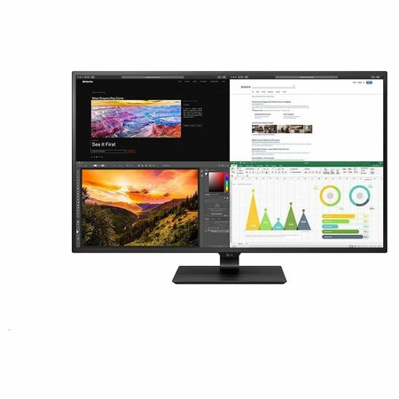 Lg MONLG684 IPS monitor 43UN700 42,5" 38