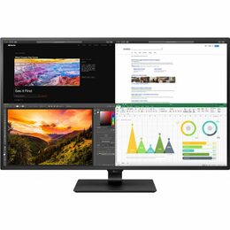 Lg MONLG684 IPS monitor 43UN700 42,5" 38