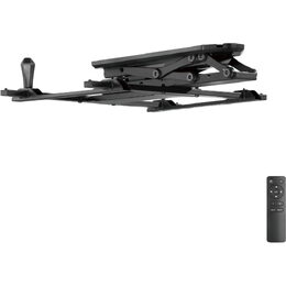 SHO 8101 MOTOR. STROP. DRŽÁK TV STELL