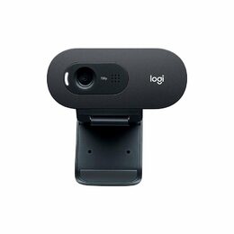 Webkamera Logitech C505 HD - černá