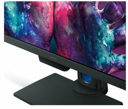 Monitor BenQ PD2500Q 25'',LED, IPS, 4ms, 1000:1, 350cd/m2, 2560 x 1440,DP,