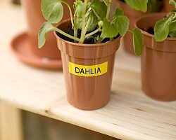 Páska Brother TZE-FX621, 9mm, žlutá/černá, s flexibilní páskou, délka 8m