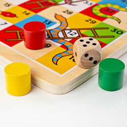 Bigjigs Toys Hadi a žebříky 2 - poškozený obal