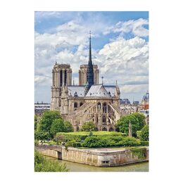 Dino Katedrála Notre-Dame, Paříž 47x66cm 1000 dílků v krabici 23x32x7cm puzzle