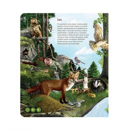 Kouzelné čtení ALBI Kniha Svět zvířat (84332)