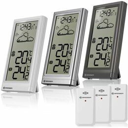 Bresser Temp Weather Station