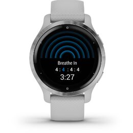 Chytré hodinky Garmin Venu 2S Silver/Gray Band