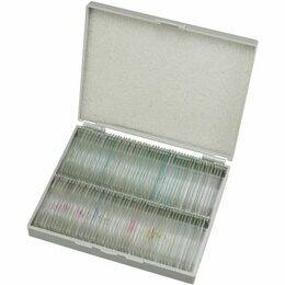 Bresser Prepared Slides 100pcs, w/case