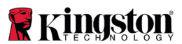 logo Kingston