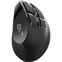 Myš Trust Voxx Rechargeable Ergonomic Wireless Mouse 23731 / optická/ 9 tlačítek/ 2400DPI - černá