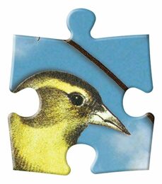 Galison Oboustranné puzzle Ptačí symfonie 250 dílků