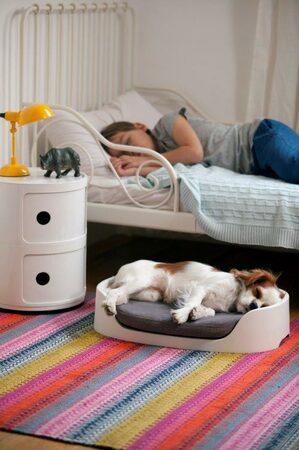 Pelech Curver Bunkbed 3 v 1 cappuccino