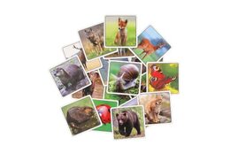 Pexeso Naše lesy papírové společenská hra 32 obrázkových dvojic v papírové krabičce 8x8cm