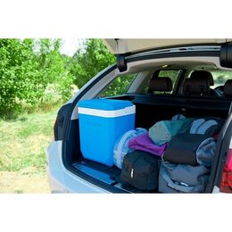 CAMPINGAZ Chladící box ICETIME PLUS 30L 2000024963