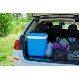 CAMPINGAZ Chladící box ICETIME PLUS 30L 2000024963