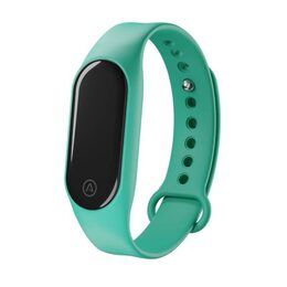 LAMAX BFit2 Mint band