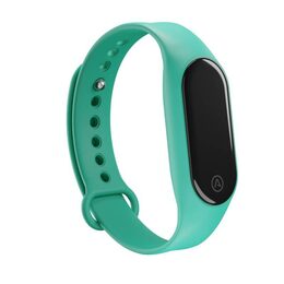 LAMAX BFit2 Mint band