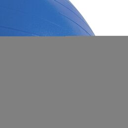 Spokey FITBALL III - Gymnastický míč 65 cm včetně pumpičky, modrý, náhradní obal
