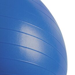 FITBALL III - Gymnastický míč 55 cm včetně pumpičky, modrý