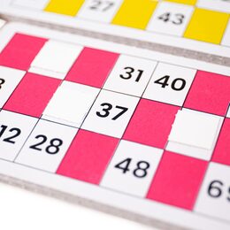 Bigjigs Toys Tradiční Bingo