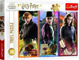 Puzzle Ve světě magie a čarodějnictví/Harry Potter 200 dílků 48x34cm v krabici 33x23x4cm