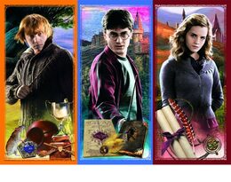 Puzzle Ve světě magie a čarodějnictví/Harry Potter 200 dílků 48x34cm v krabici 33x23x4cm