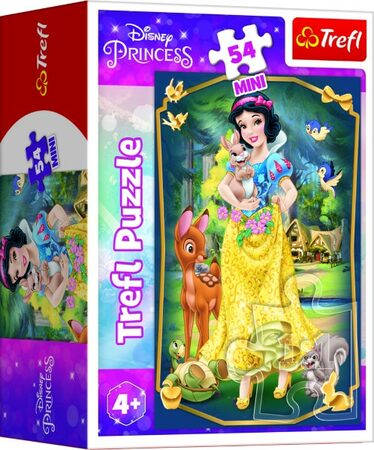 Minipuzzle Krásné princezny/Disney Princess 54dílků 4 druhy v krabičce 6x9x4cm 40ks v boxu