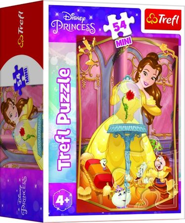 Minipuzzle Krásné princezny/Disney Princess 54dílků 4 druhy v krabičce 6x9x4cm 40ks v boxu