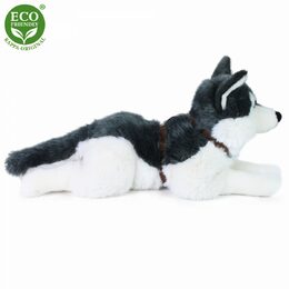 Rappa Plyšový pes husky s obojkem ležící 60 cm ECO-FRIENDLY