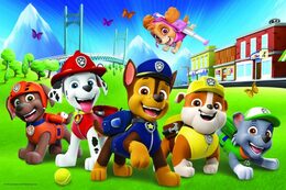 Puzzle Paw Patrol/Tlapková patrola v trávě 33x22cm 60 dílků v krabici 21x14x4cm