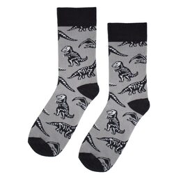 Ponožky - Dinosauři