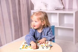 Teddies vkládačka/puzzle deskové obrysové zoo dřevo 30x21cm ve fólii