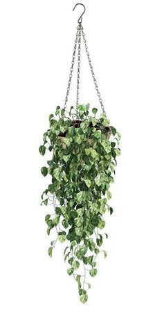 PROGARDEN Květináč závěsný pletený 30 cm KO-435000810