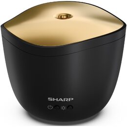 DF-A1E-B AROMA DIFUZÉR SIM. PLAMEN SHARP