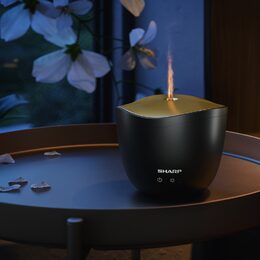DF-A1E-B AROMA DIFUZÉR SIM. PLAMEN SHARP