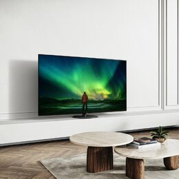 TX 55LZ1000E OLED ULTRA HD TV PANASONIC
