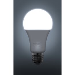 RLL 411 A65 E27 bulb 15W DL RETLUX