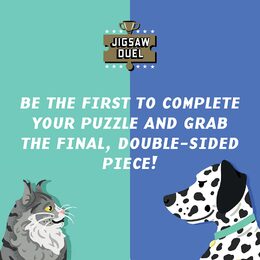 Ridley&#039;s Games Puzzle domácí zvířata hra pro dva hráče